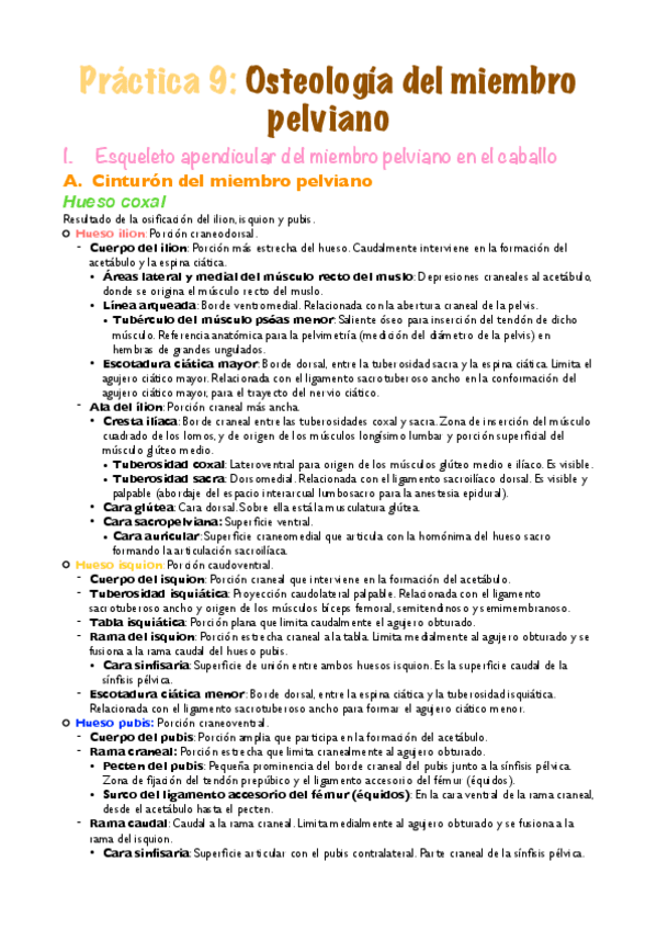 Miniatura del documento Practica-9.pdf