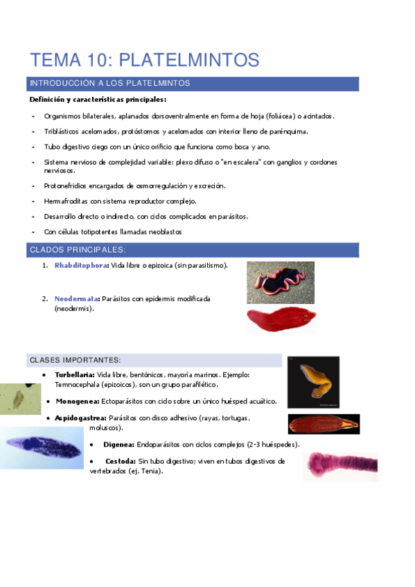 Miniatura del documento tema-10.pdf
