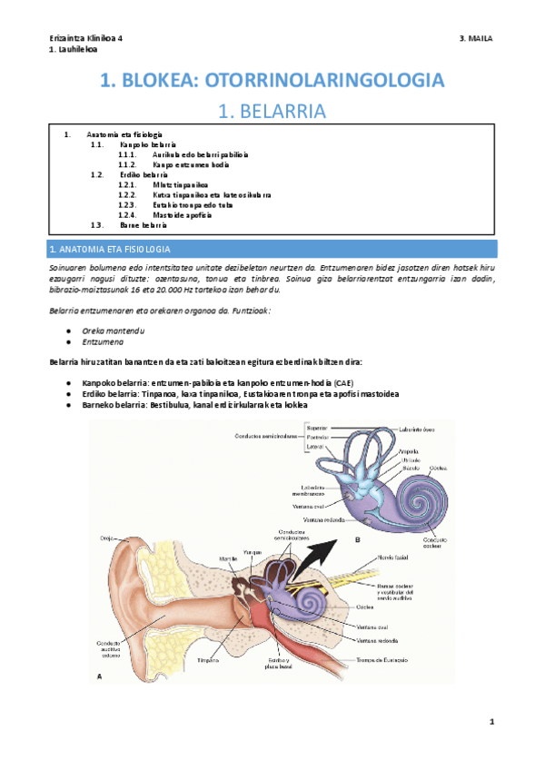 Miniatura del documento OTORRINO.pdf