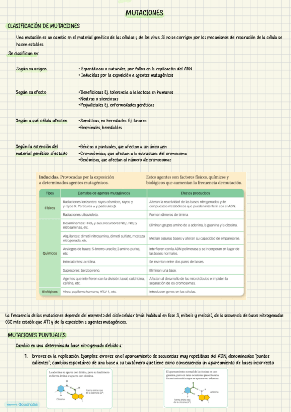 Miniatura del documento Mutaciones-2-bach.pdf