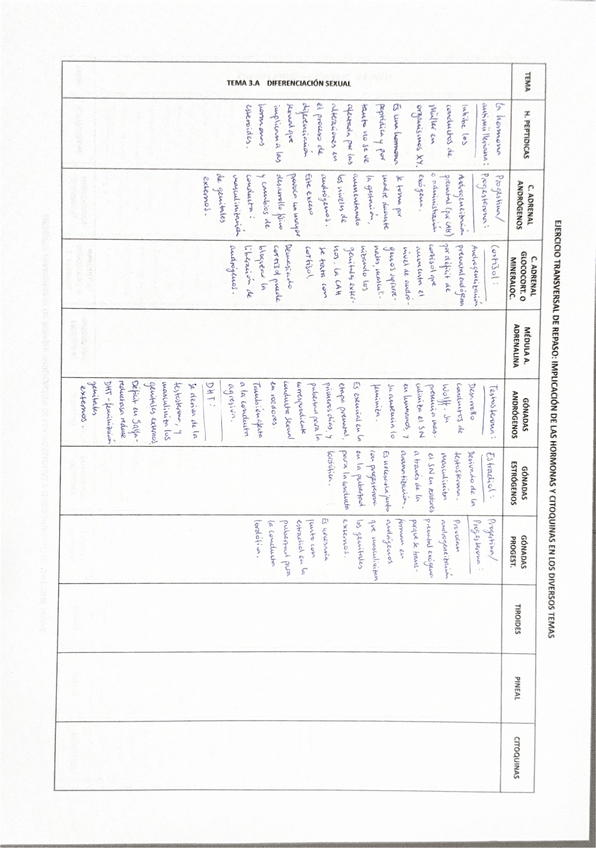 Miniatura del documento Actividad-Tablas-Hormonas.pdf