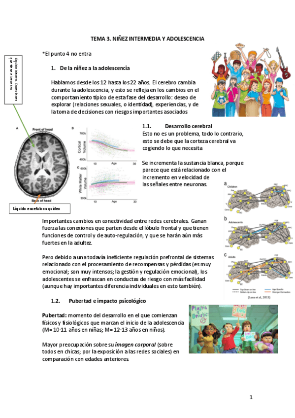 Miniatura del documento TEMA-3-ninez-intermedia-y-adolescencia.-PS-DEL-DESARROLLO.pdf