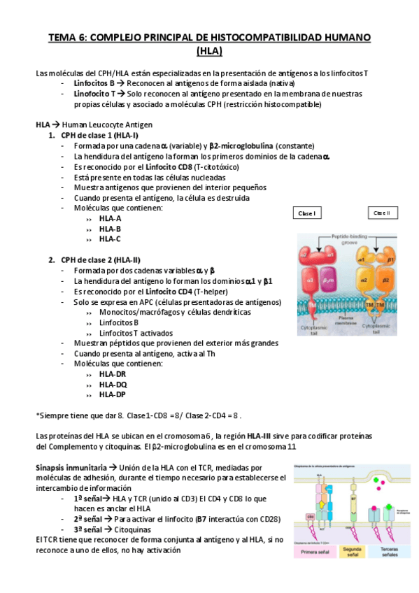 Miniatura del documento INMUNOLOGIA-TEMA-6.pdf