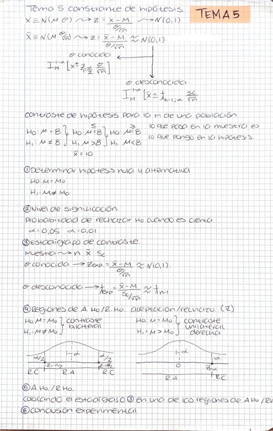 Miniatura del documento Tema-5-contraste-de-hipotesis.pdf