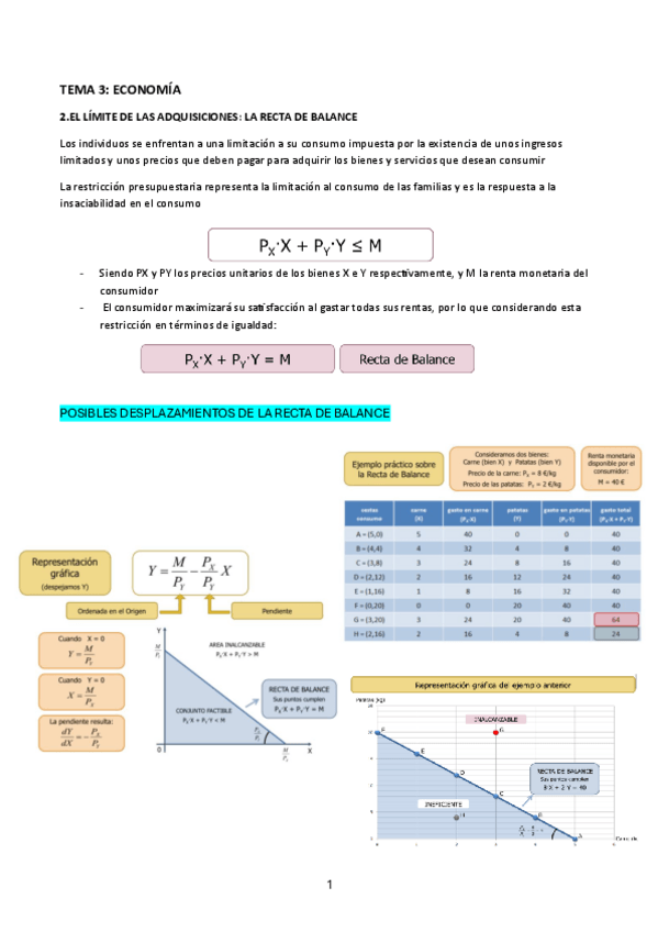 Miniatura del documento ECONOMIA-T3.pdf