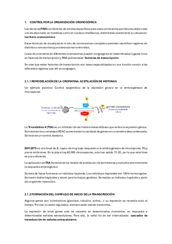 Miniatura del documento 3-parcial-nuevo.pdf
