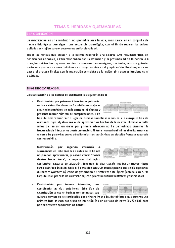 Miniatura del documento CLI-II-BLOQUE-5.5.pdf