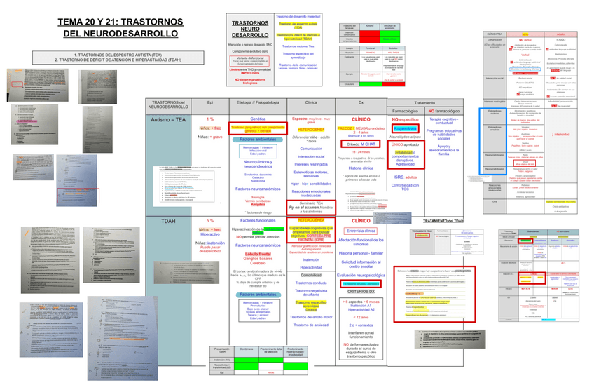 Miniatura del documento TEMA-20-Y-21-TRASTORNOS-DEL-NEURODESARROLLO.pdf