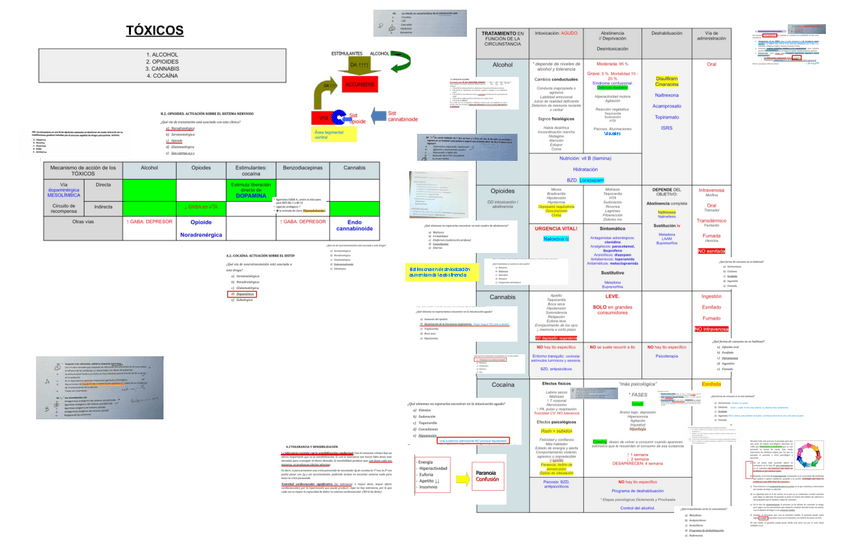 Miniatura del documento 6-7.-TOXICOS.pdf