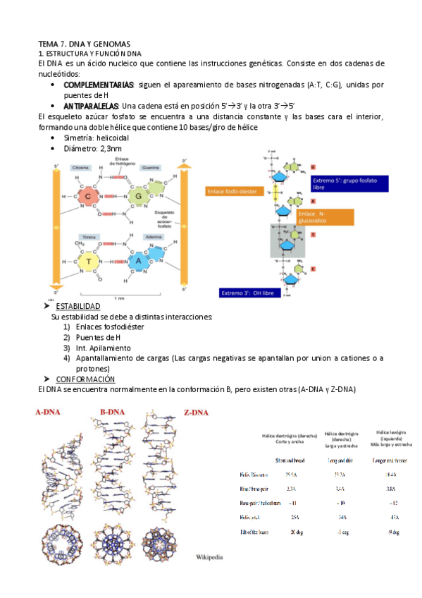 Miniatura del documento TEMA-7.pdf