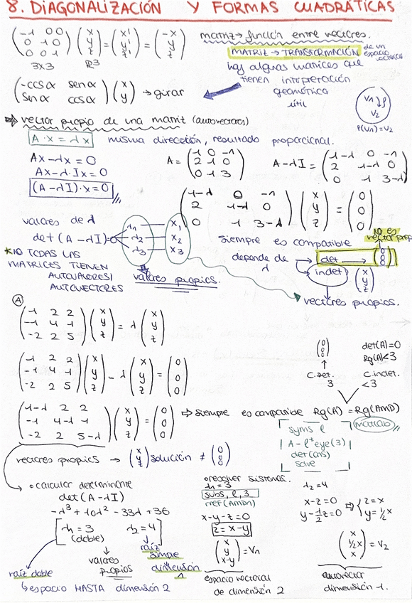 Miniatura del documento Diagonalizacion-y-formas-cuadraticas-apuntes-8.pdf