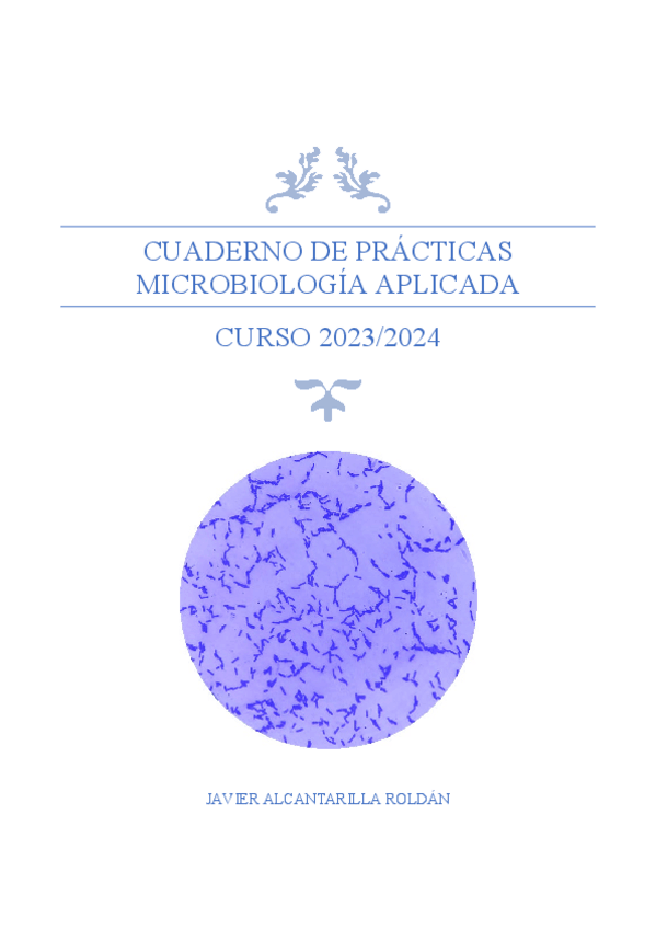 Miniatura del documento CUADERNO-DE-PRACTICAS-JAVIER-ALCANTARILLA-ROLDAN.pdf