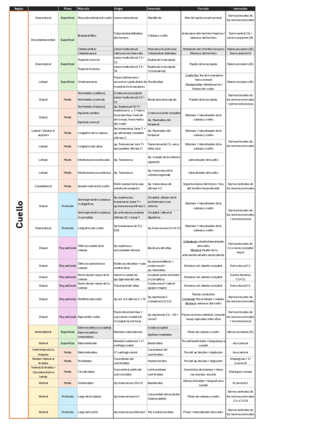 Miniatura del documento MIOLOGIA-Tabla-de-musculos parte 1.pdf