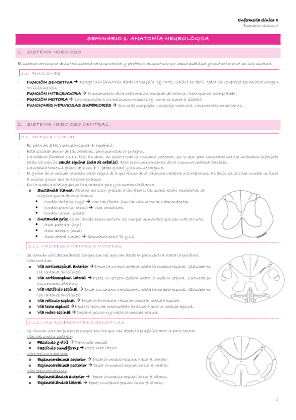 Miniatura del documento Escenario-1-2-Seminario-1.-Anatomia-neurologica.pdf