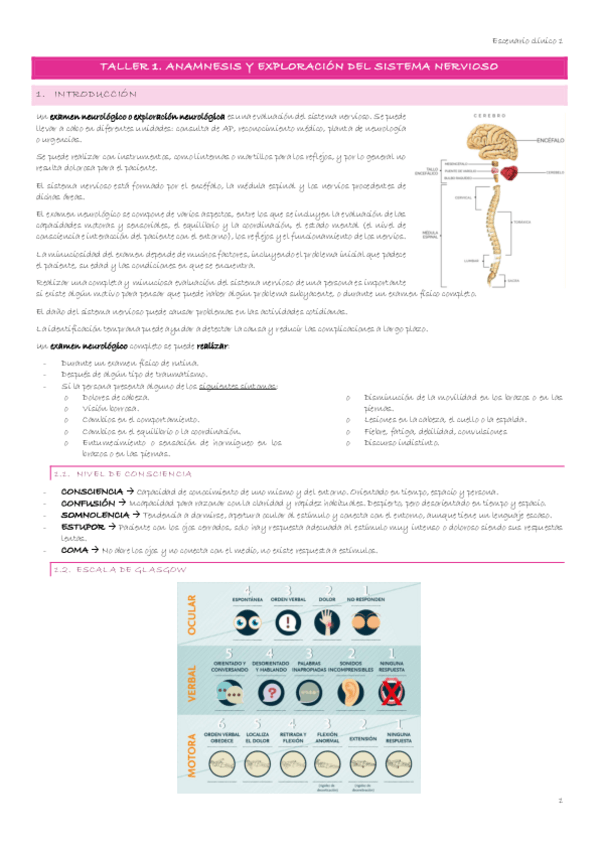 Miniatura del documento Escenario-1-4-Taller-1.-Anamnesis-y-exploracion-del-sistema-nervioso.pdf