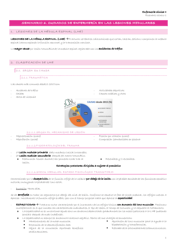 Miniatura del documento Escenario-1-10-Seminario-6.-Cuidados-de-enfermeria-en-las-lesiones-medulares.pdf