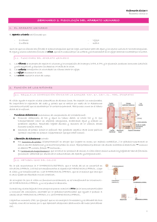 Miniatura del documento Escenario-3-3-Seminario-2.-Fisiologia-del-aparato-urinario.pdf