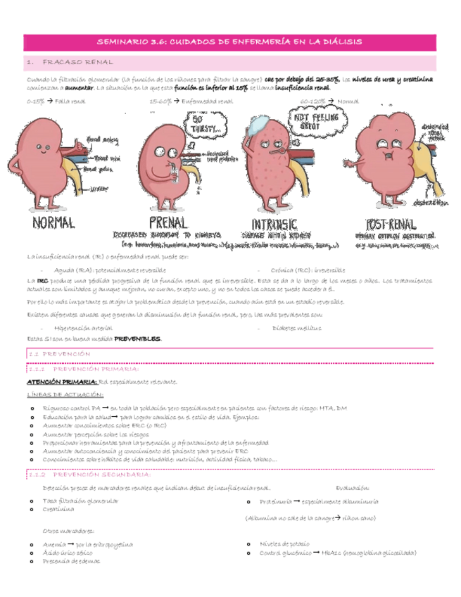 Miniatura del documento Escenario-3-8-Seminario-3.6-cuidados-de-enfermeria-en-la-dialisis.pdf