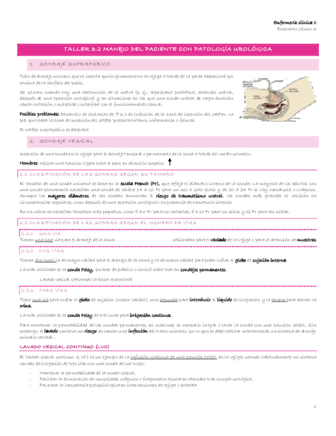 Miniatura del documento Escenario-3-9-Taller-3.2-Manejo-de-paciente-con-patologia-urologica.pdf