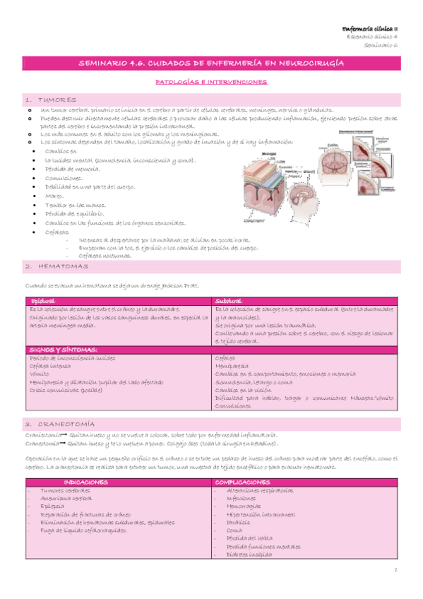 Miniatura del documento Escenario-4-9-Seminario-4.6.-Cuidados-de-enfermeria-en-neurocirugia.pdf