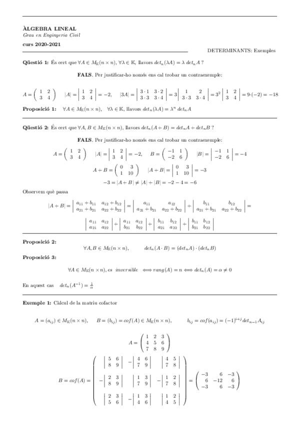 Miniatura del documento Determinants-exemples.pdf