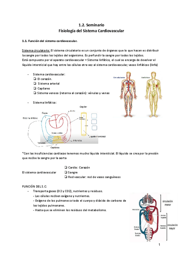 Miniatura del documento Escenario-1-1.2.-Seminario.-Fisiologia-del-Sistema-Cardiovascular.pdf