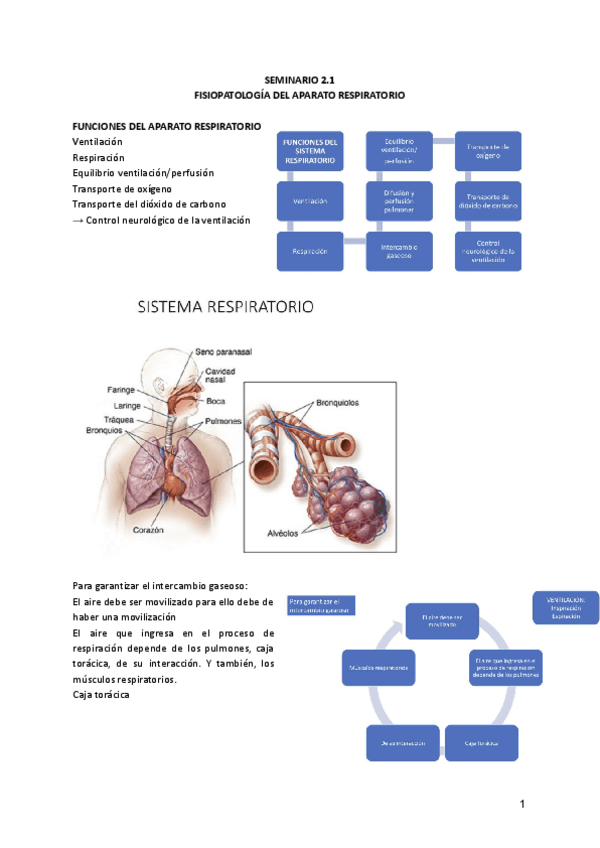 Miniatura del documento Escenario-2-Seminario-2.1-Enf-clinic-I.pdf