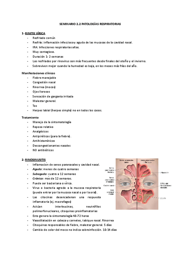Miniatura del documento Escenario-2-Seminario-2.2-Enf-Clinic-I.pdf