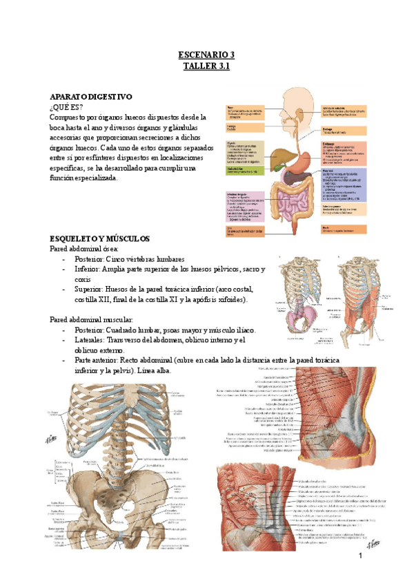 Miniatura del documento Escenario-3-4-Taller-3.1.pdf
