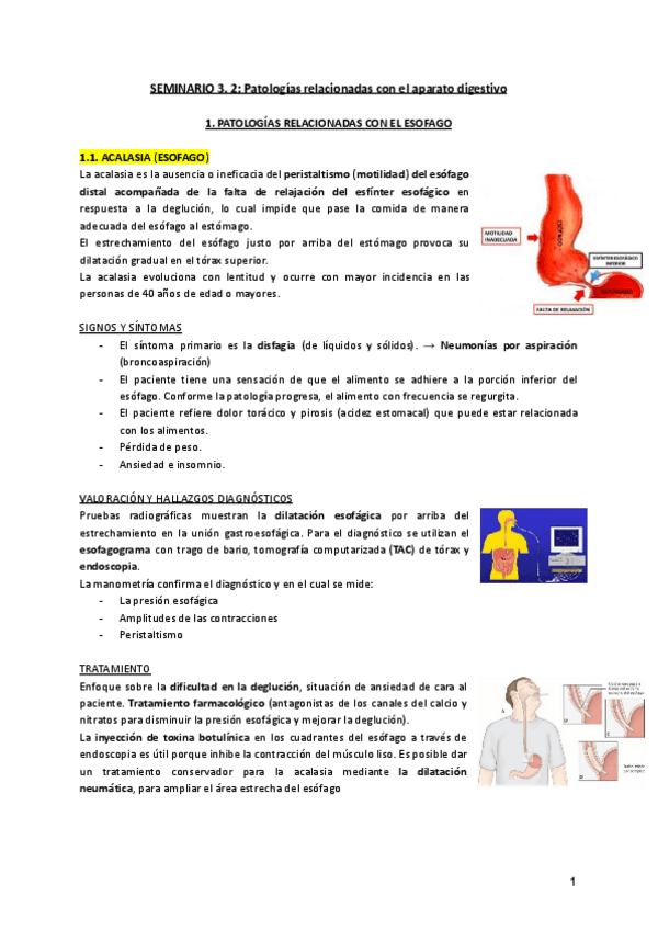 Miniatura del documento Escenario-3-5-Seminario-3.2-patologias-del-aparato-digestivo.pdf