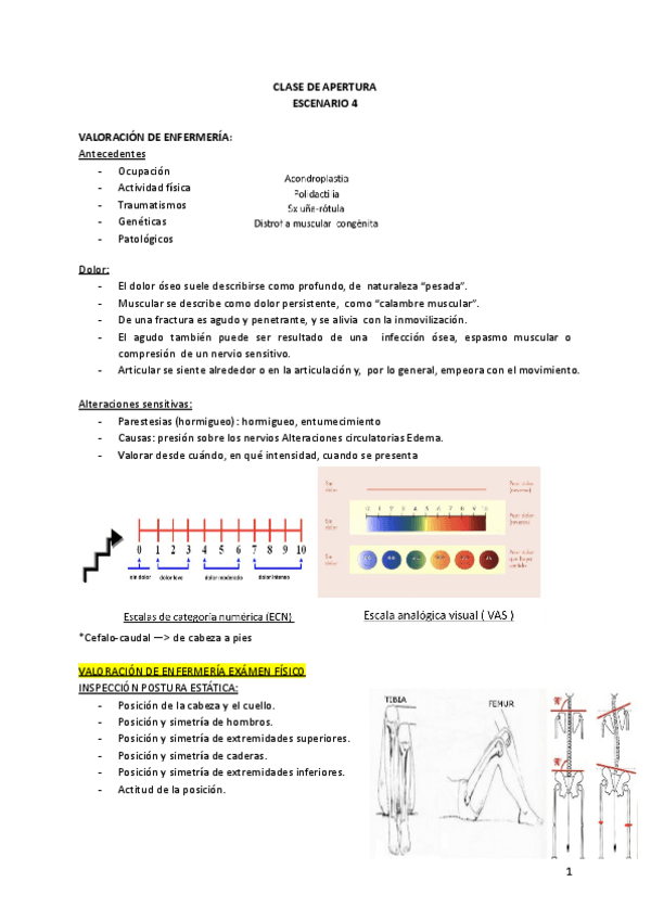 Miniatura del documento Escenario-4-1-Clase-apertura-E4-Enf-Clinic.pdf