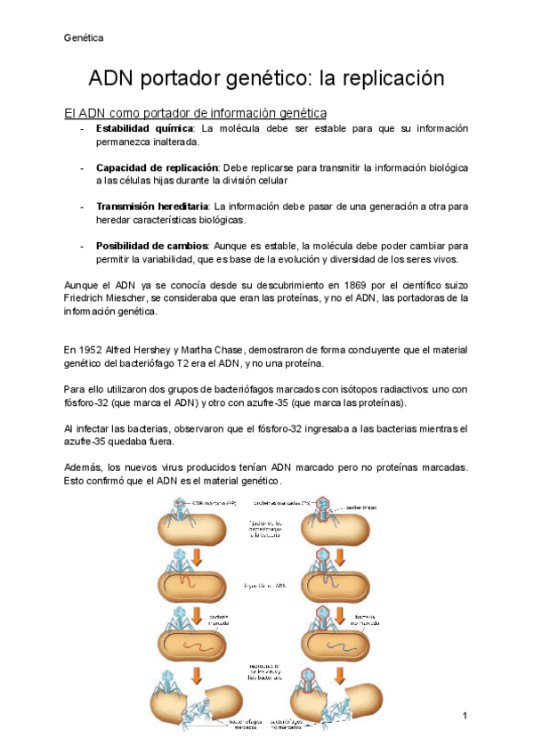 Miniatura del documento Replicación-ADN como portador genético.pdf