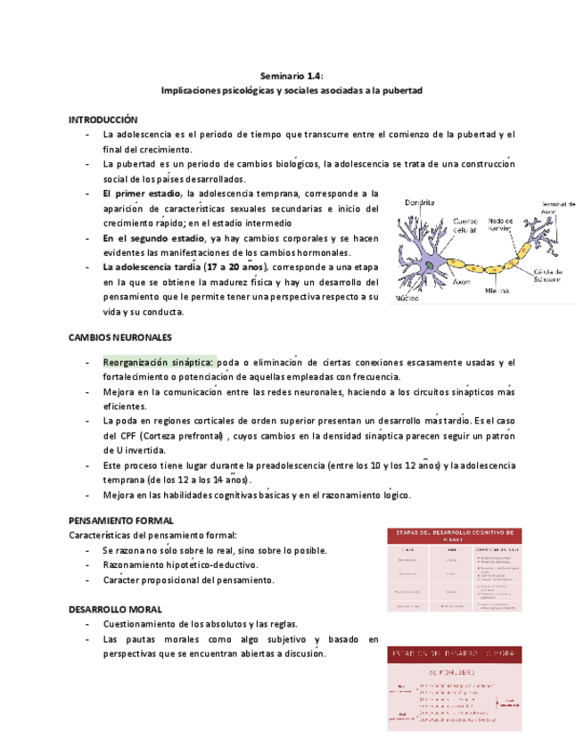 Miniatura del documento Escenario-1-Seminario-1.4-Implicaciones-psicologicas-y-sociales-asociadas-a-la-pubertad.pdf
