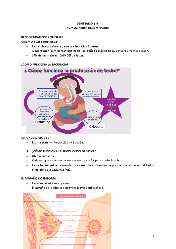 Miniatura del documento Escenario-2-Seminario-2.4-Alimentacion-recien-Nacido.pdf