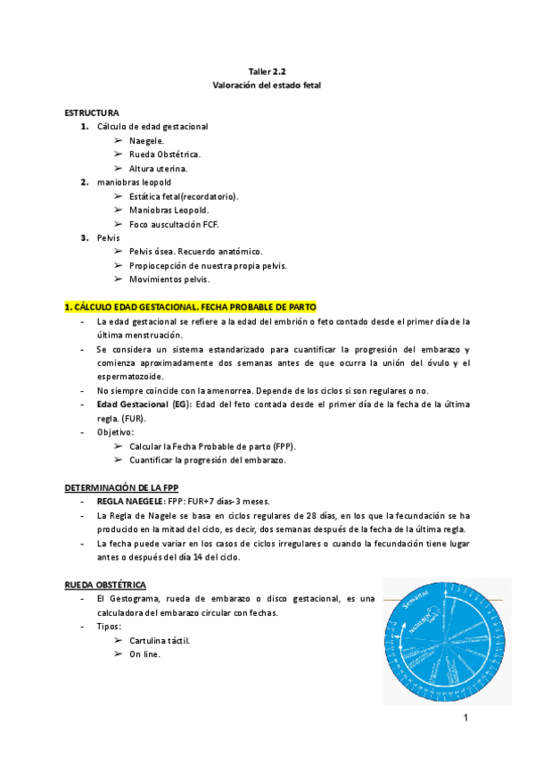 Miniatura del documento Escenario-2-Taller-2.2.-Valoracion-del-estado-fetal.pdf