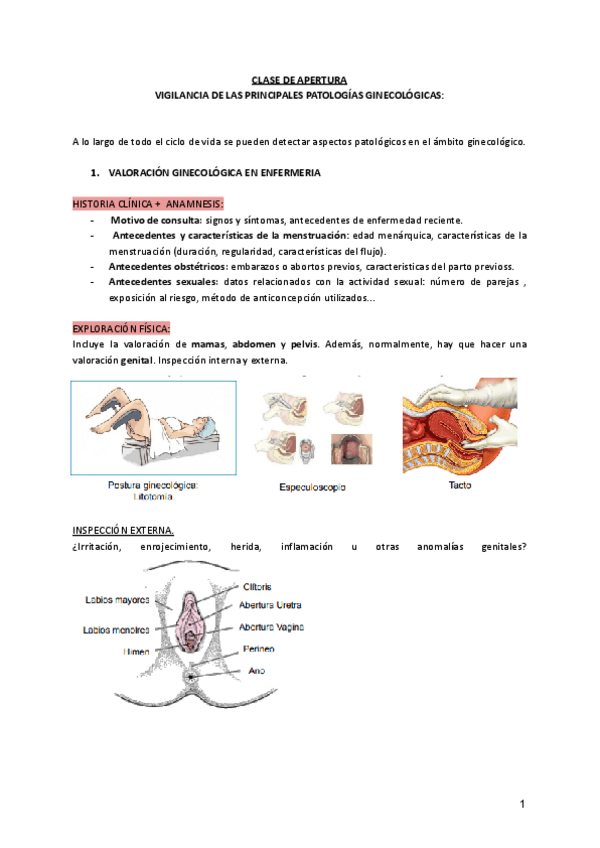 Miniatura del documento 1-Clase-de-Apertura-Vigilancia-de-las-principales-patologias-ginecologicas.pdf