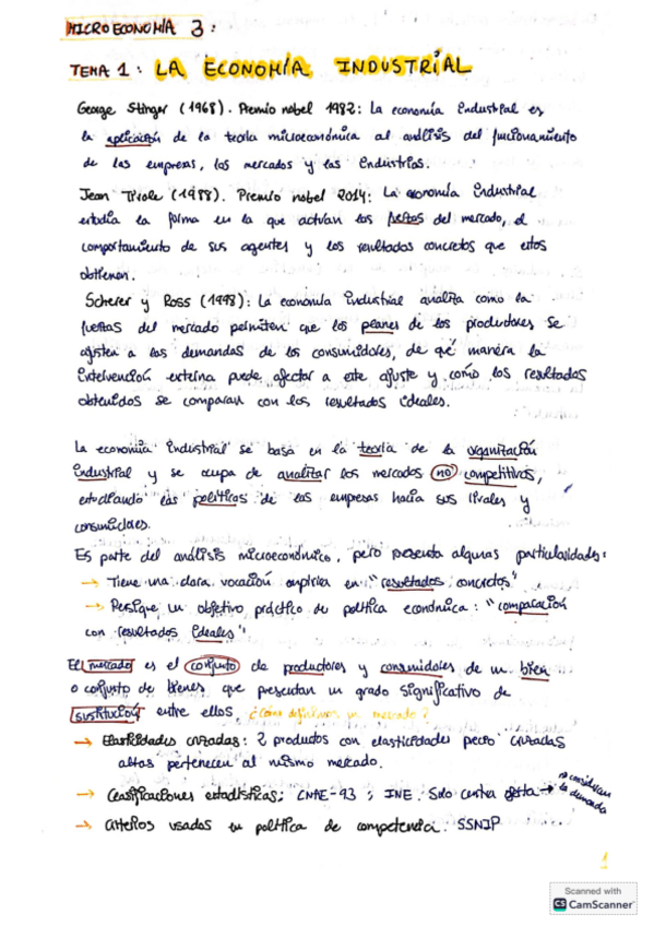 Miniatura del documento Tema1.-La-Economia-Industrial.pdf