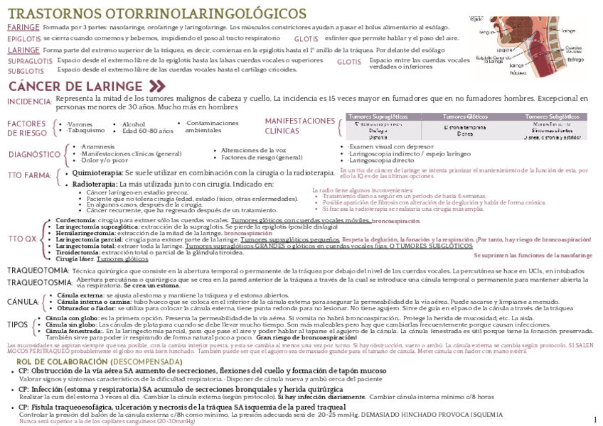 Miniatura del documento RESUMEN-Otorrino.pdf