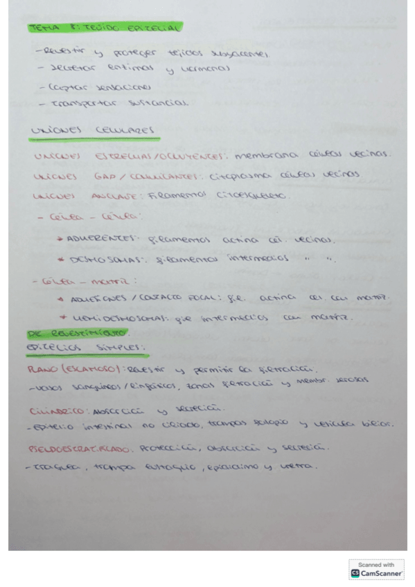 Miniatura del documento Esquema-Resumen-Temas-Histologia.pdf
