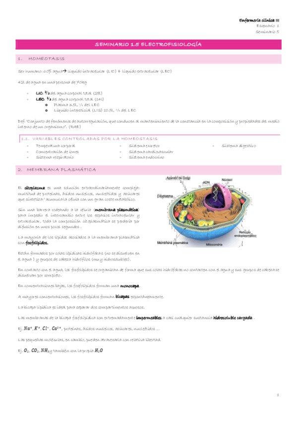 Miniatura del documento Escenario-1-7-Seminario-1.5-Electrofisiologia.pdf