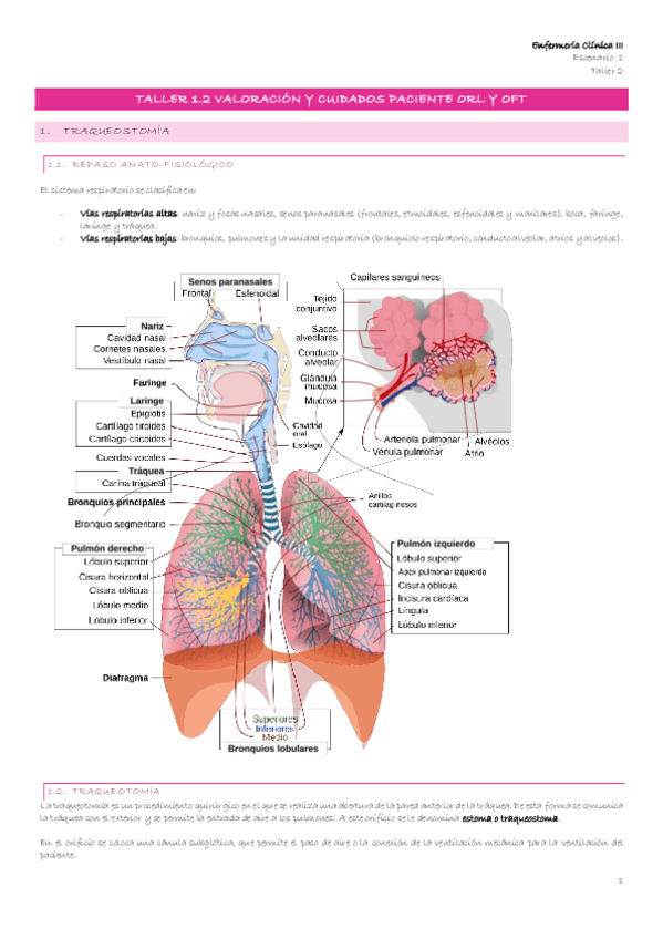 Miniatura del documento Escenario-1-10-Taller-1.2.pdf
