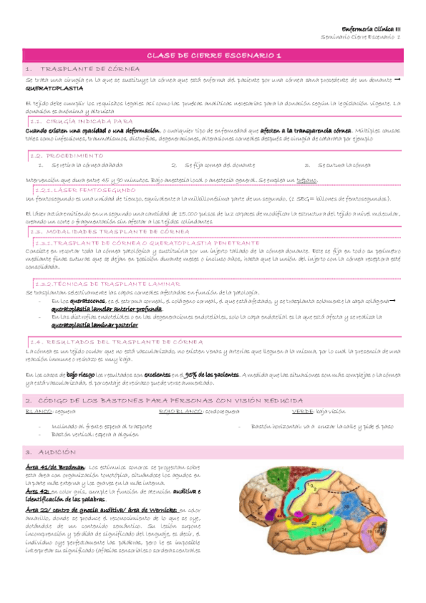 Miniatura del documento Escenario-1-11-Clase-de-cierre.pdf