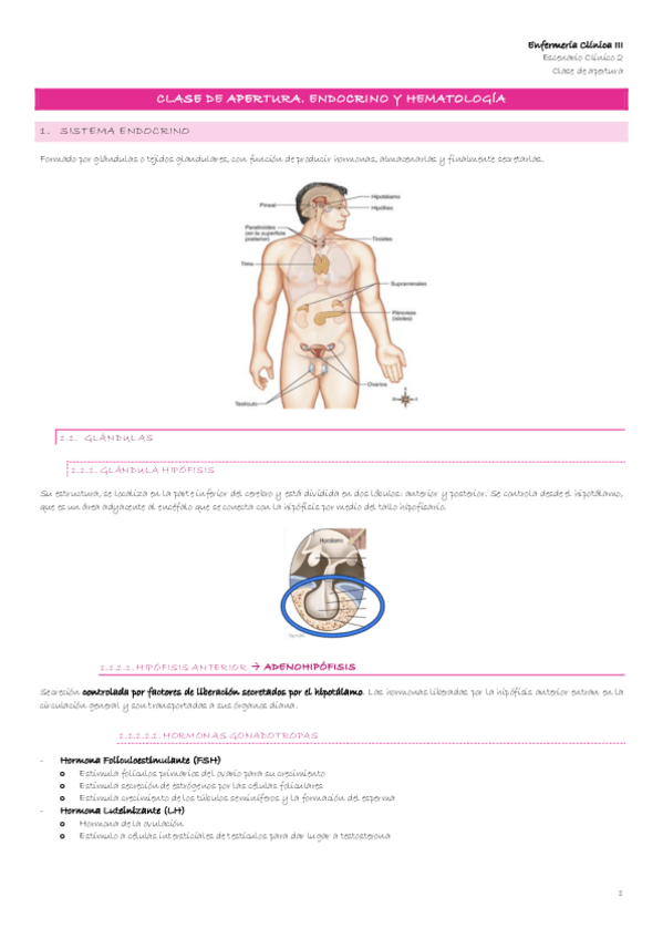 Miniatura del documento Escenario-2-1-Clase-de-apertura.-Endocrino-y-hematologia.pdf