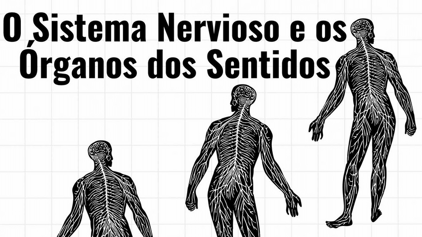 Miniatura del documento O-Sistema-Nervioso-e-os-Organos-dos-Sentidos-1PT.pdf