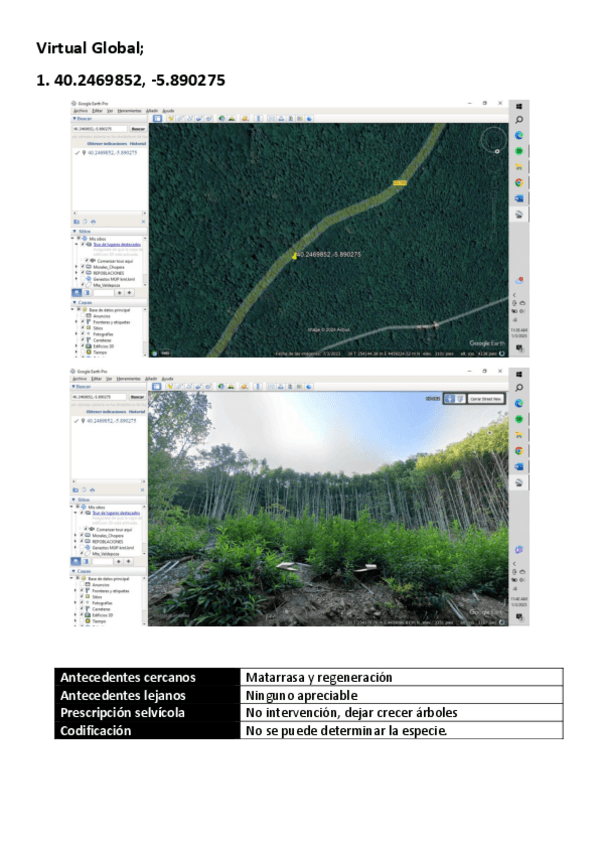 Miniatura del documento Virtual-Global.pdf