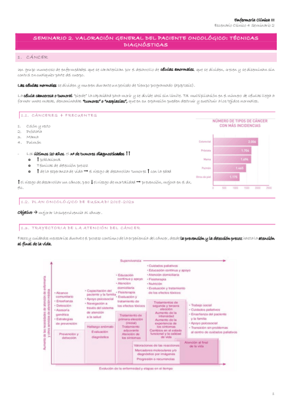 Miniatura del documento Escenario-4-4-Seminario-4.2.-Valoracion-general-del-paciente-oncologico-Tecnicas-diagnosticas.pdf