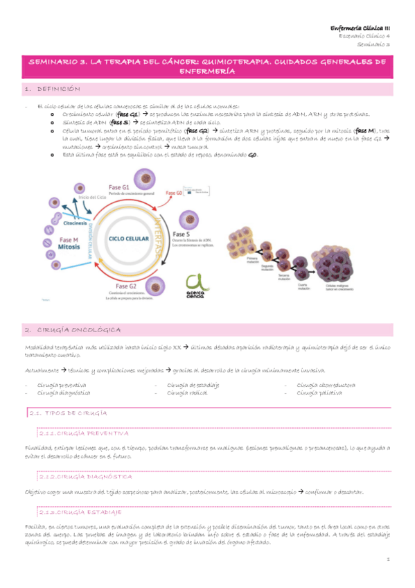 Miniatura del documento Escenario-4-6-Seminario-3.-La-terapia-del-cancer-quimioterapia.-Cuidados-generales-de-enfermeria.pdf