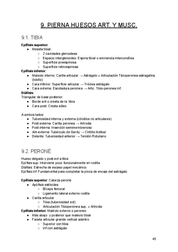 Miniatura del documento Tema-9.-Pierna-huesos-articulacionn-musculos.pdf