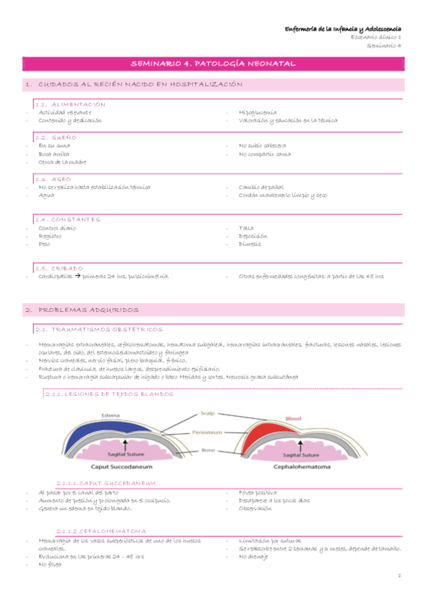 Miniatura del documento Escenario-1-6-Seminario-4.-Patologia-neonatal.pdf