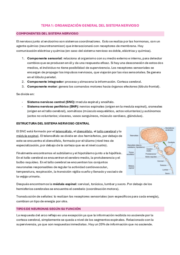 Miniatura del documento Tema-1-10.pdf